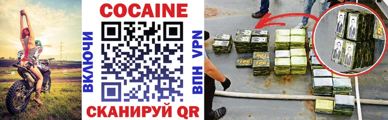 MEGA   Темников  Cocaine Columbia 