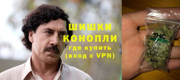 ПСИЛОЦИБИНОВЫЕ ГРИБЫ Киреевск