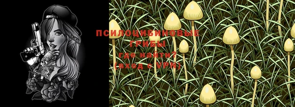 MDMA Козловка