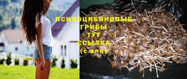 мескалин Кинешма